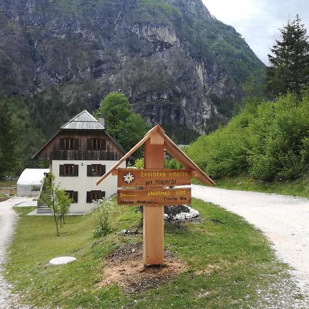 Апартаменты Organic Tourist Farm Pri Plajerju Трента Экстерьер фото