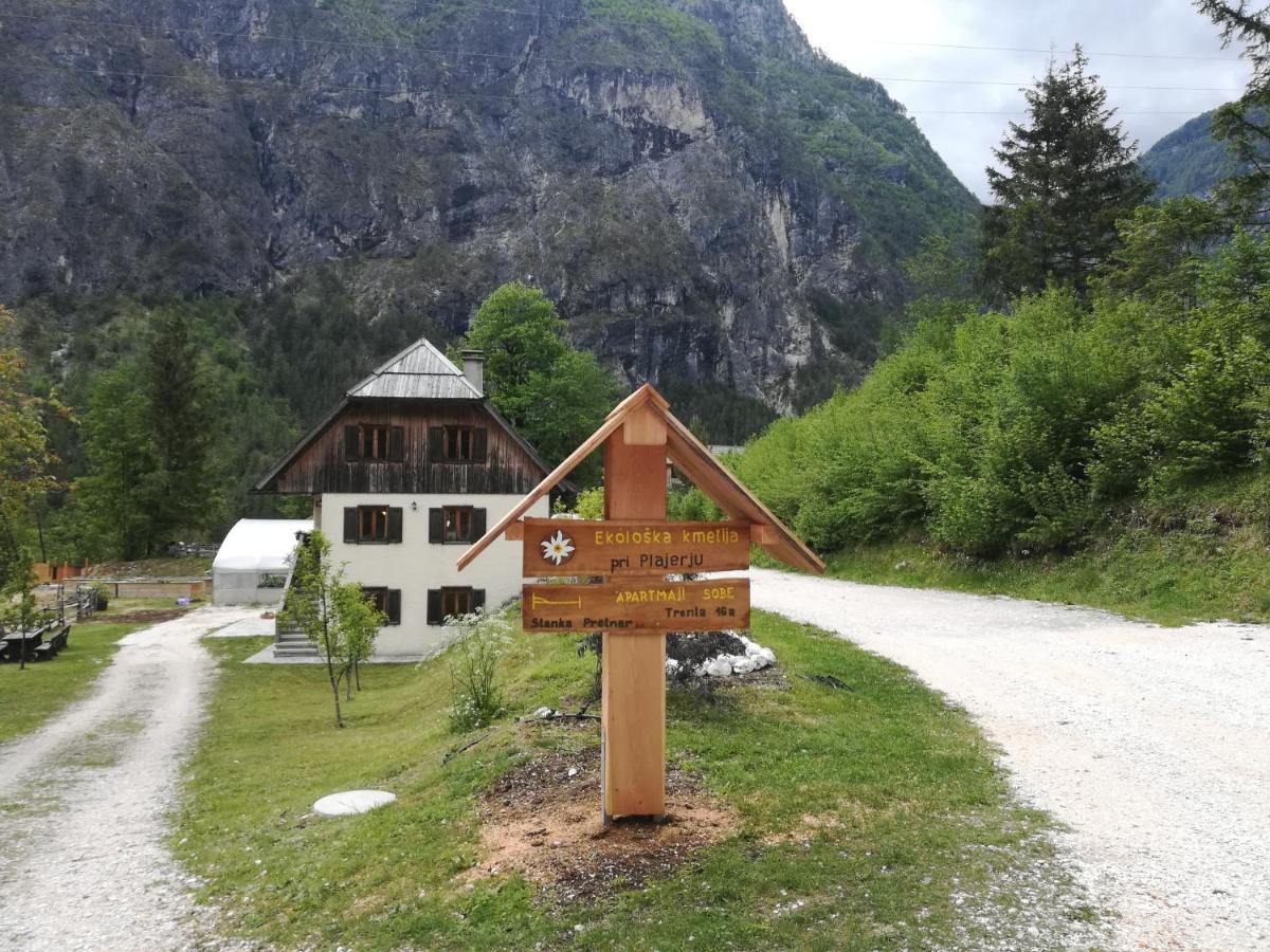 Апартаменты Organic Tourist Farm Pri Plajerju Трента Экстерьер фото