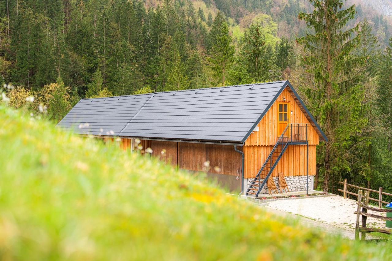Апартаменты Organic Tourist Farm Pri Plajerju Трента Экстерьер фото