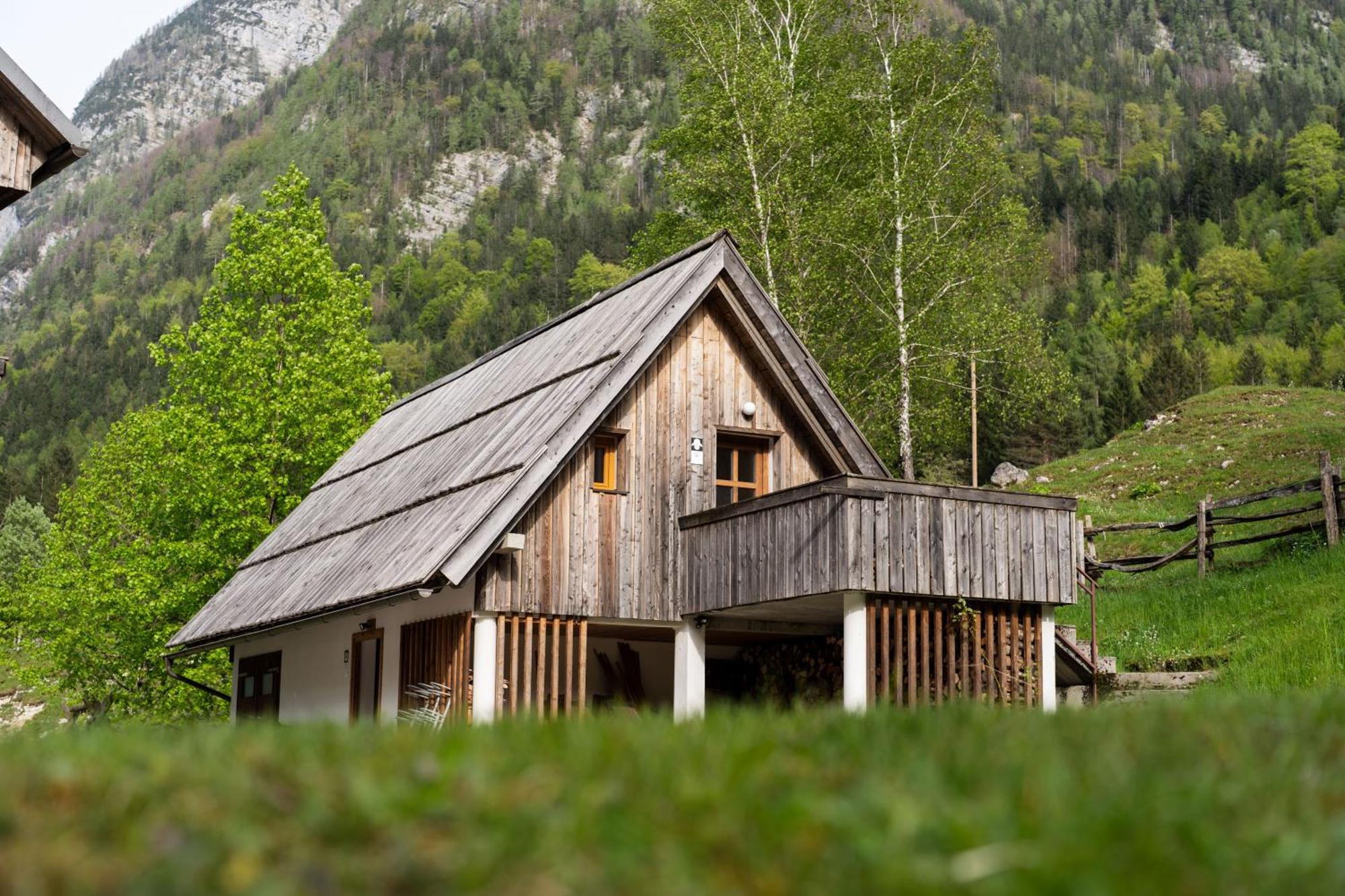 Апартаменты Organic Tourist Farm Pri Plajerju Трента Экстерьер фото